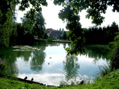 Brauereiteich
